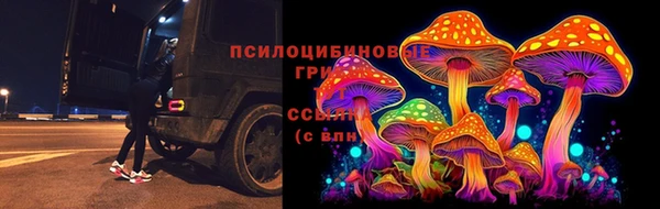 индика Коряжма