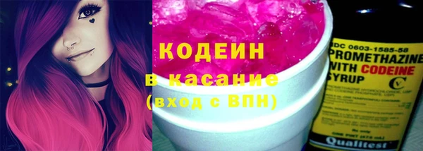 мдпв Кодинск