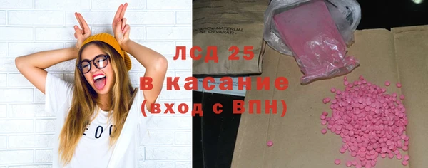 индика Коряжма