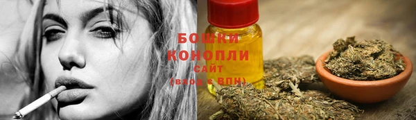 амф Козловка