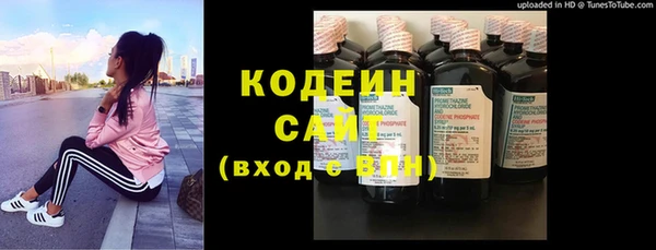 мдпв Кодинск