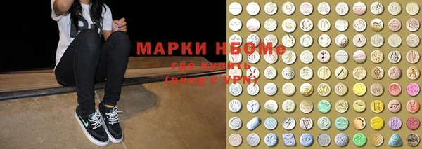 индика Коряжма