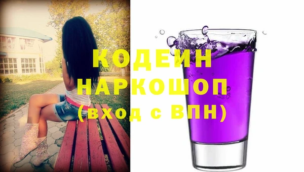 индика Коряжма